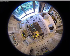 Fisheye Network Camera